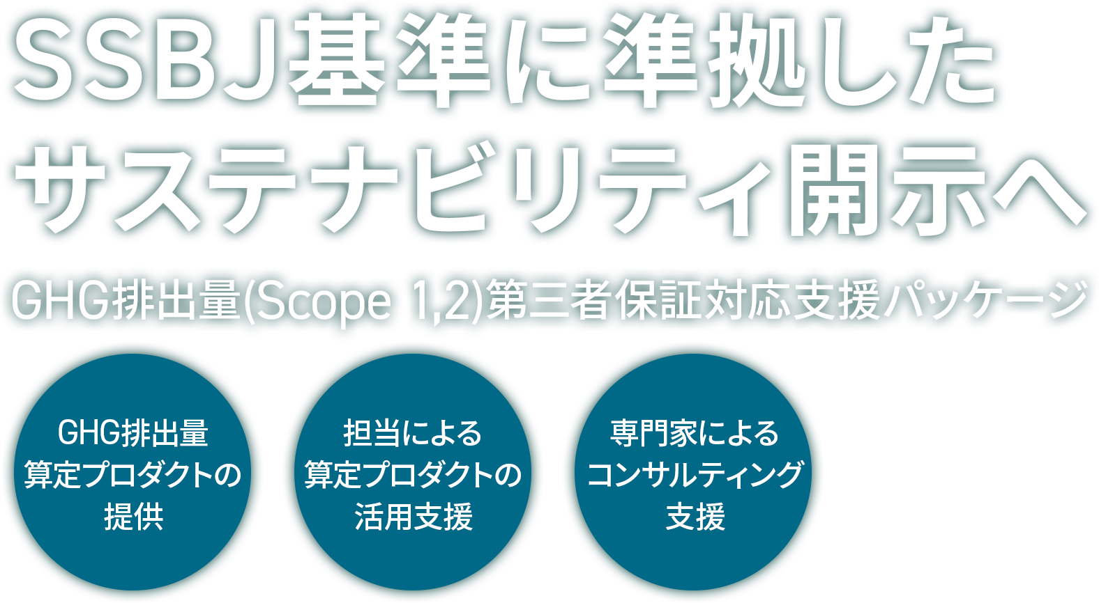SSBJ基準に準拠したサステナビリティ開示へ